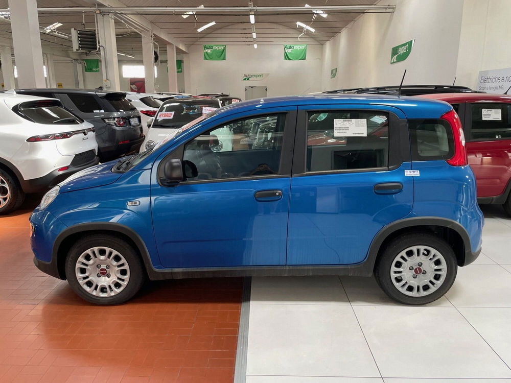 Fiat Panda Cross nuova a Lucca (4)