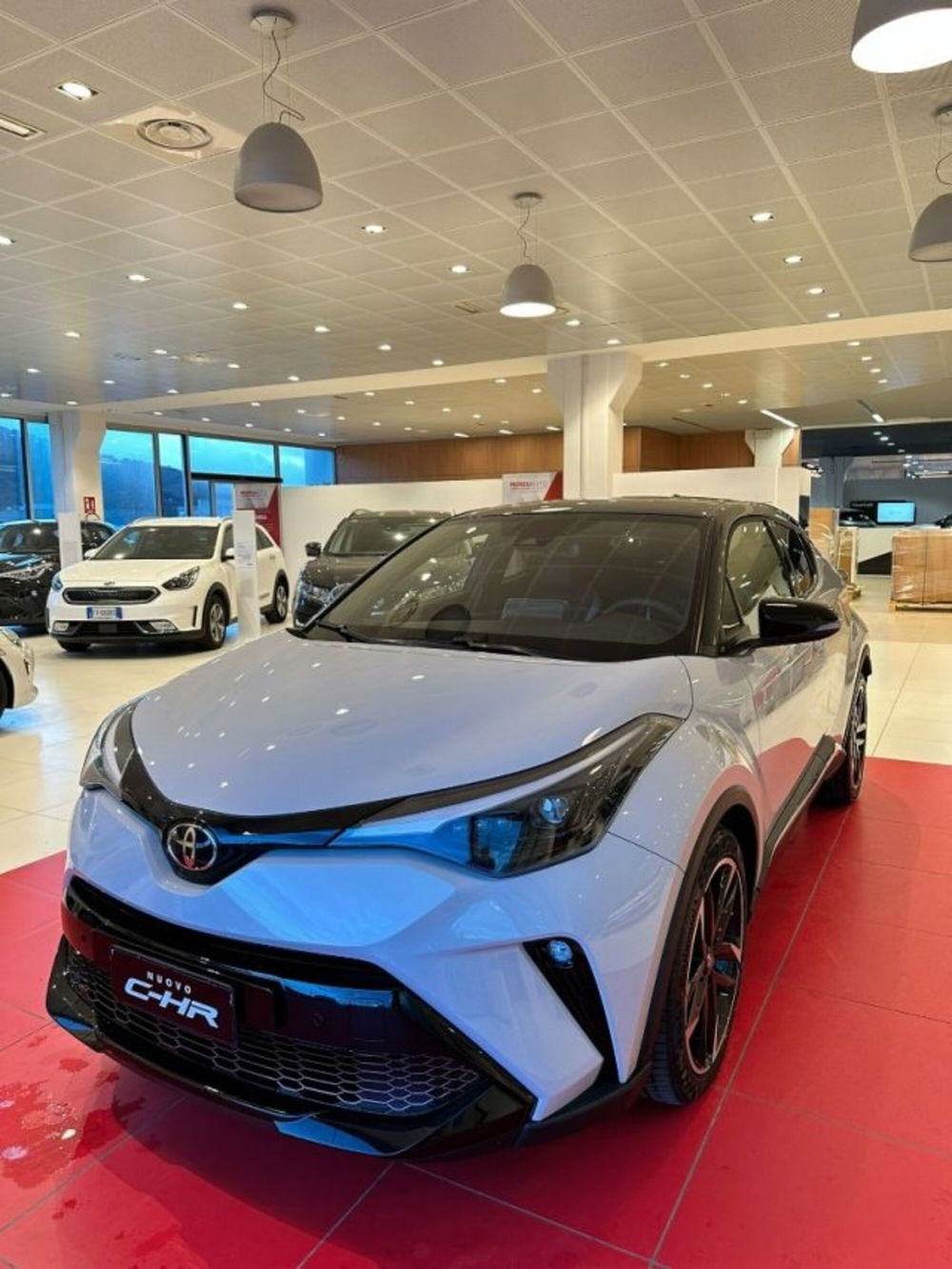 Toyota Toyota C-HR nuova a Sassari