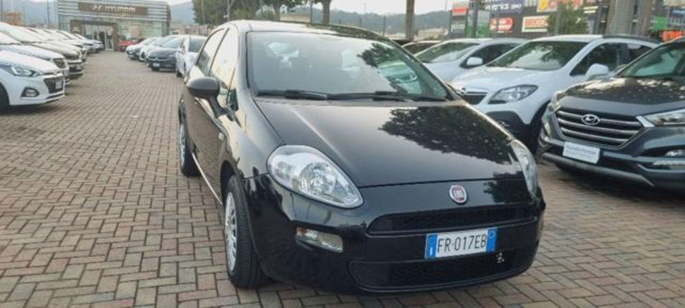 Fiat Punto usata a Savona