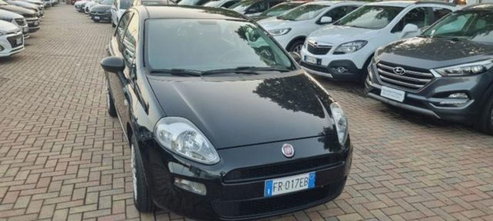 Fiat Punto usata a Savona (2)