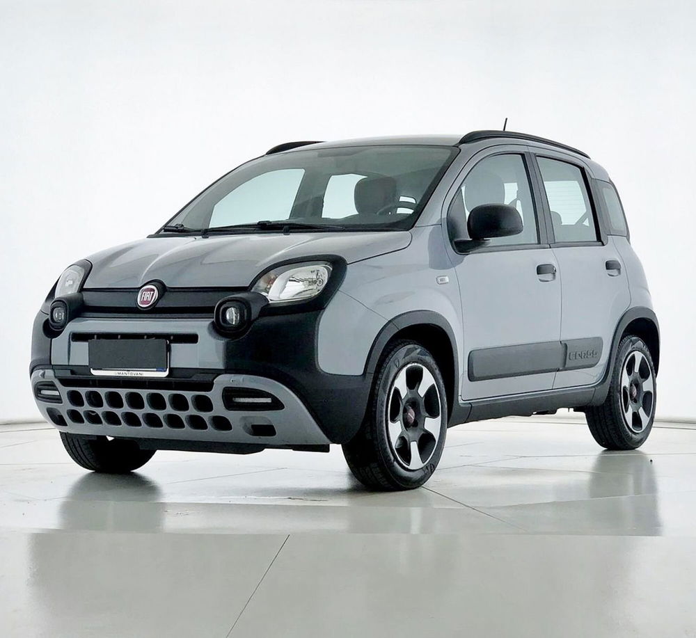 Fiat Panda Cross usata a Perugia