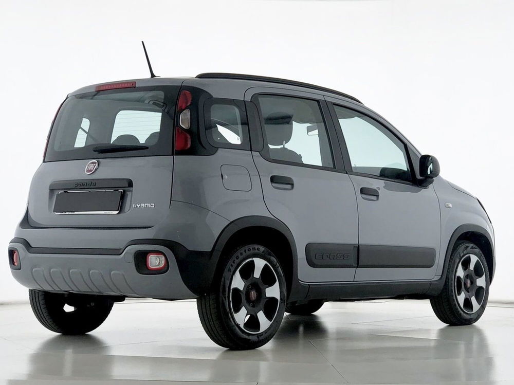 Fiat Panda Cross usata a Perugia (3)