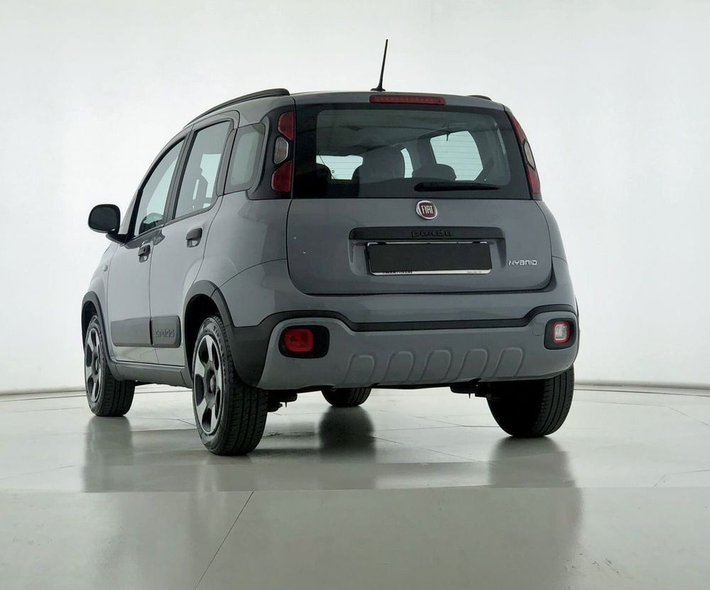 Fiat Panda Cross usata a Perugia (6)