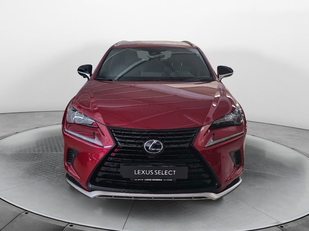 Lexus NX usata a Bologna (2)