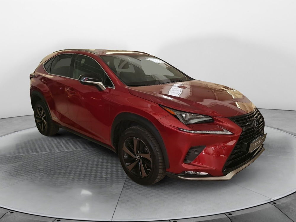 Lexus NX usata a Bologna (3)