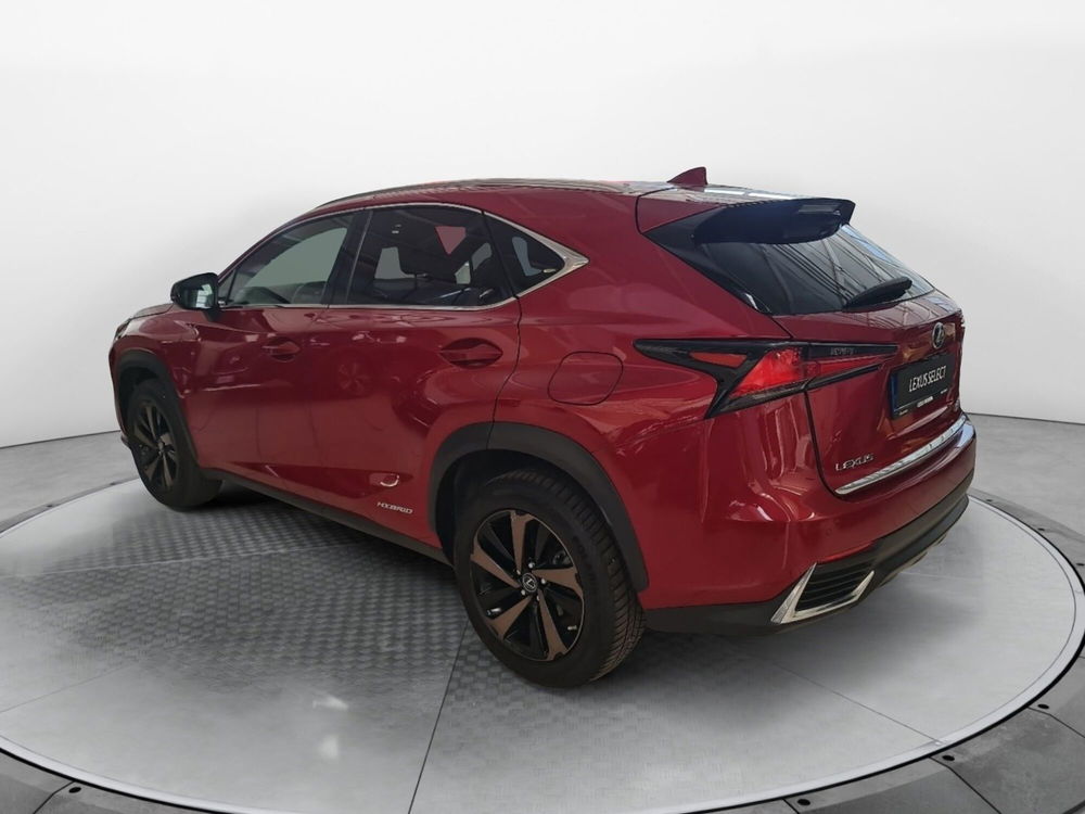 Lexus NX usata a Bologna (6)