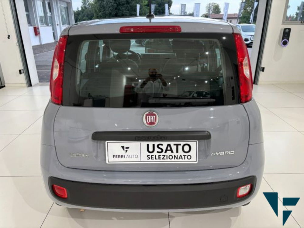 Fiat Panda usata a Treviso (5)