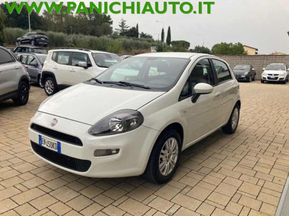 Fiat Punto usata a Arezzo