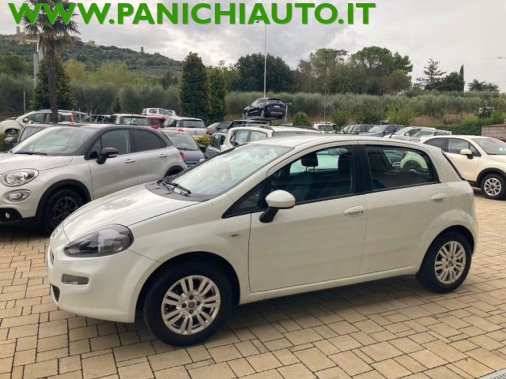 Fiat Punto usata a Arezzo (2)