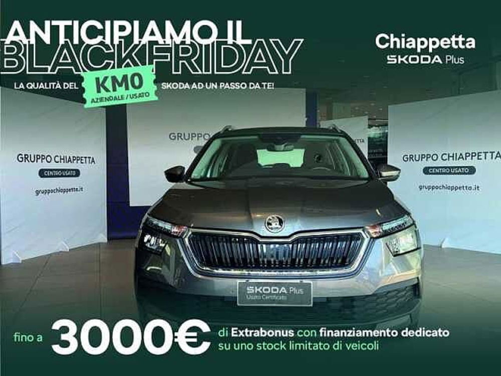 Skoda Kamiq usata a Cosenza (2)