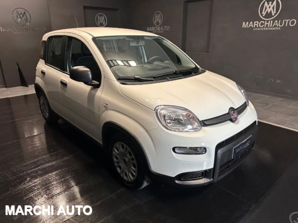 Fiat Panda nuova a Perugia (3)