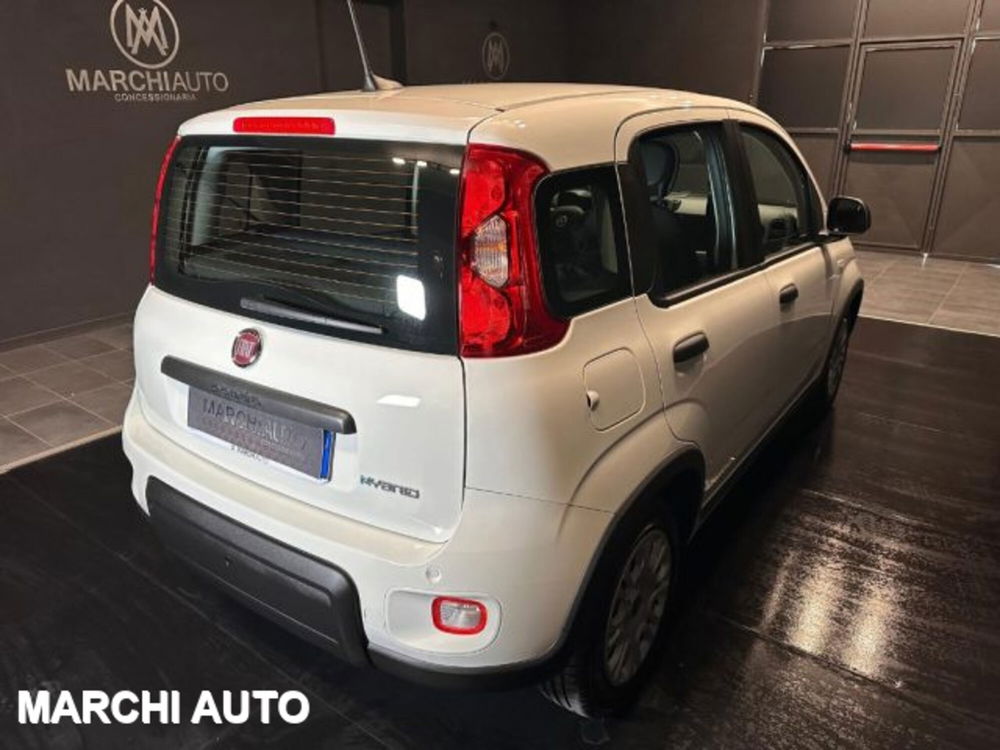 Fiat Panda nuova a Perugia (5)