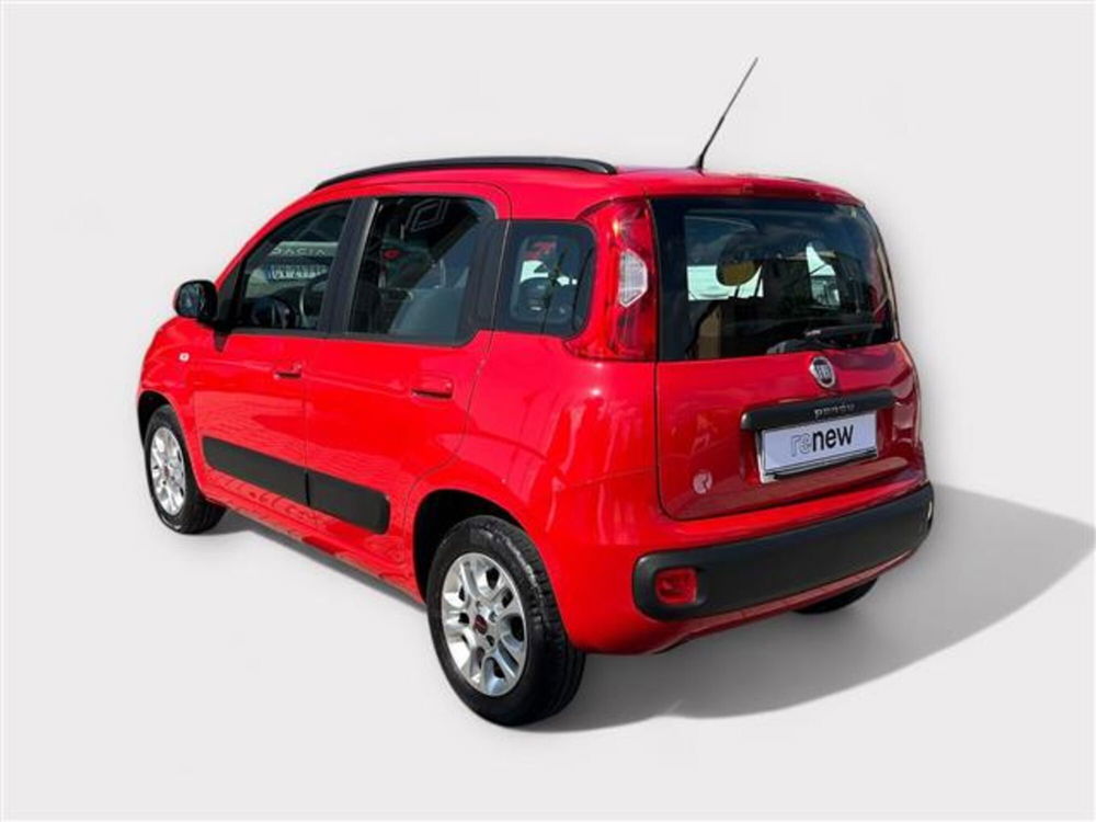 Fiat Panda usata a Livorno (3)