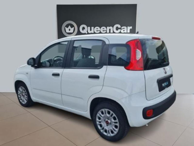 Fiat Panda 1.0 firefly hybrid s&amp;s 70cv 5p.ti del 2022 usata a Pianezza