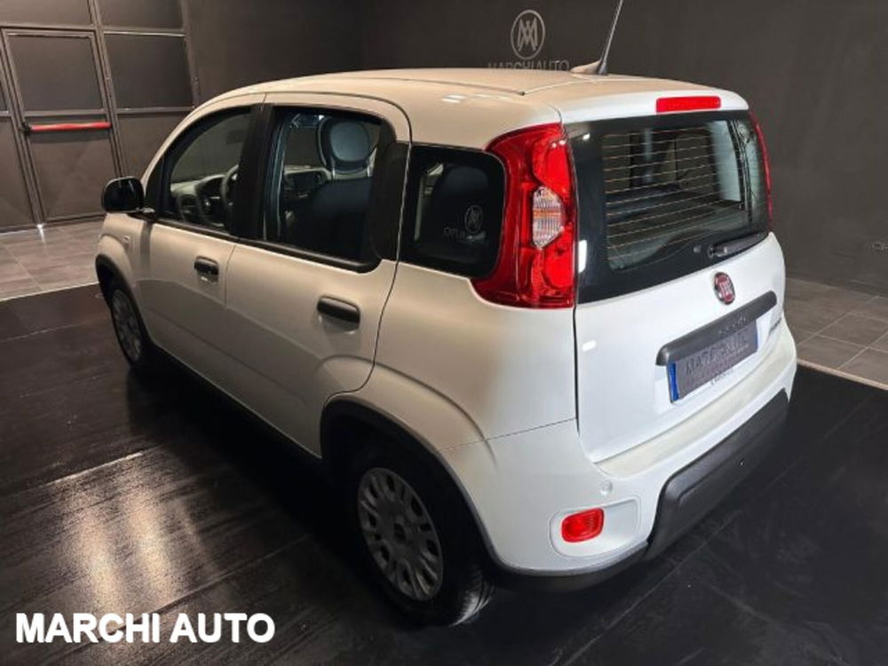 Fiat Panda nuova a Perugia (7)