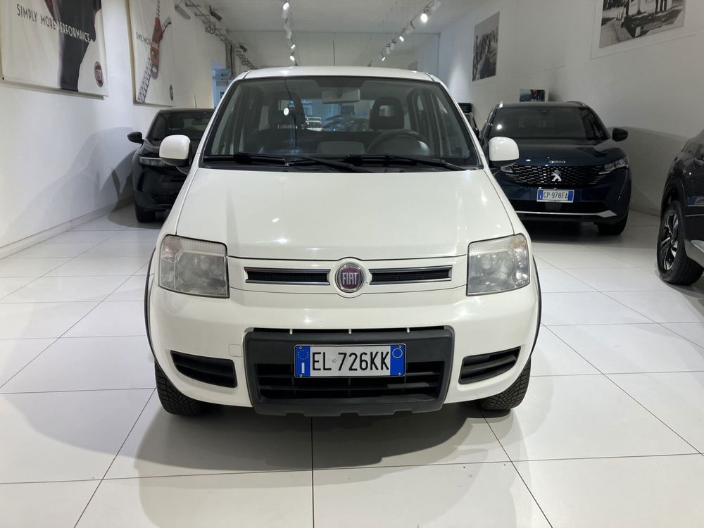 Fiat Panda usata a Parma (2)