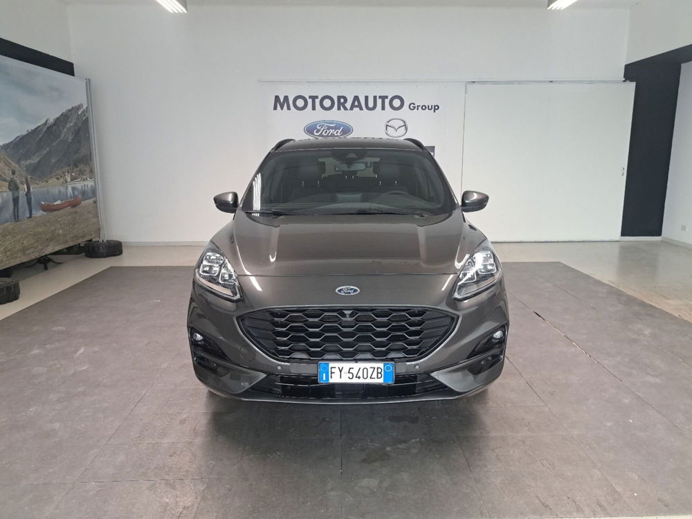 Ford Kuga usata a Arezzo (2)