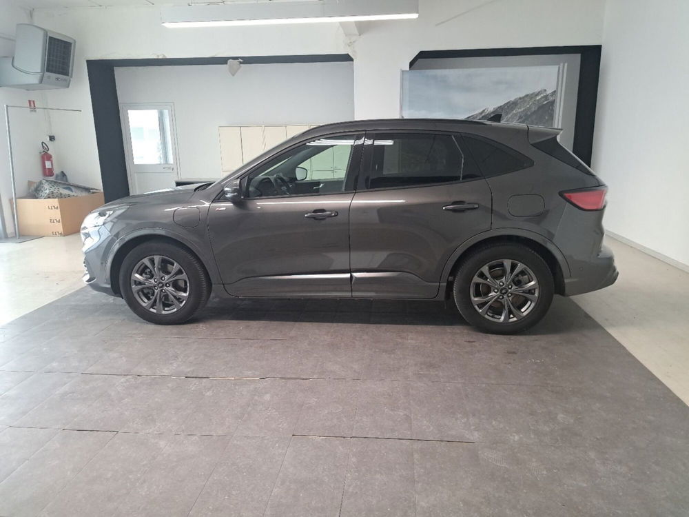 Ford Kuga usata a Arezzo (7)