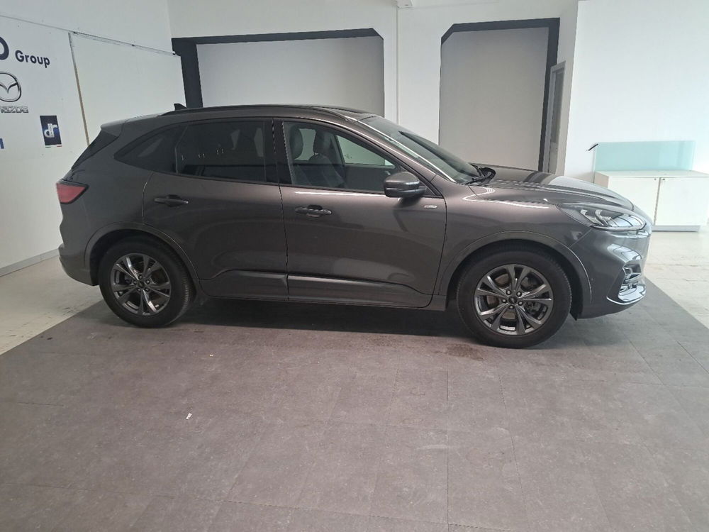 Ford Kuga usata a Arezzo (8)