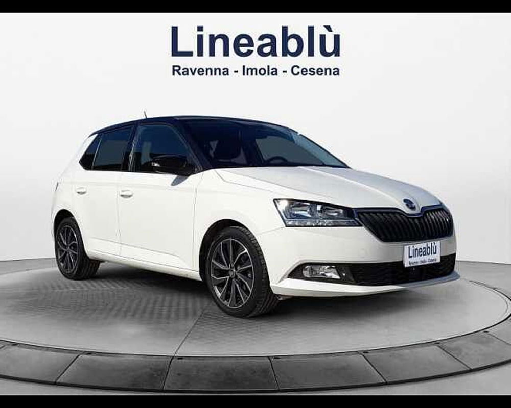 Skoda Fabia usata a Ravenna (7)