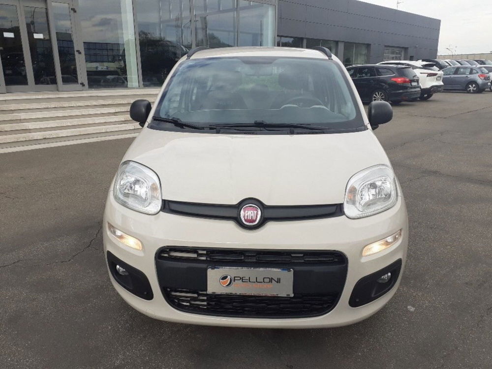 Fiat Panda usata a Modena (3)