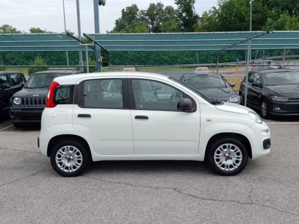 Fiat Panda usata a Brescia (4)