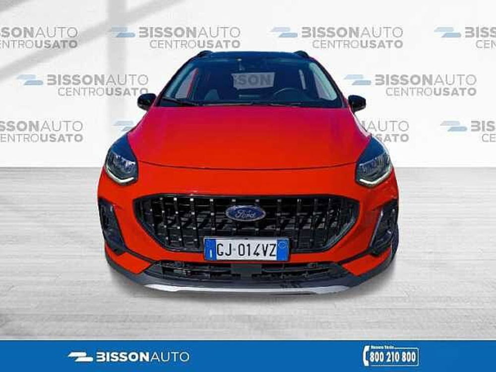 Ford Fiesta usata a Vicenza (4)