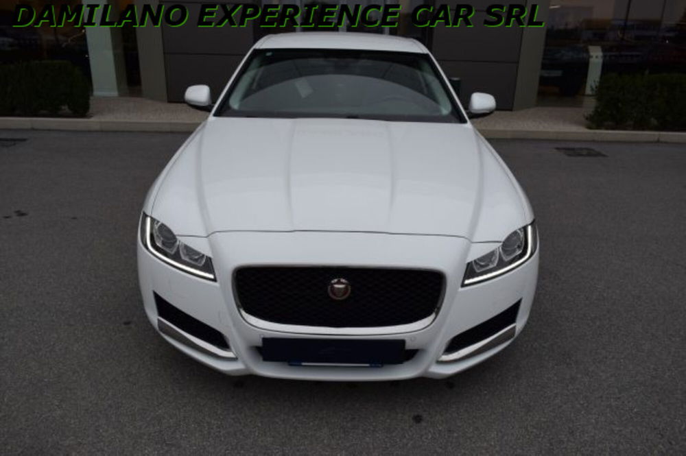 Jaguar XF usata a Cuneo (2)