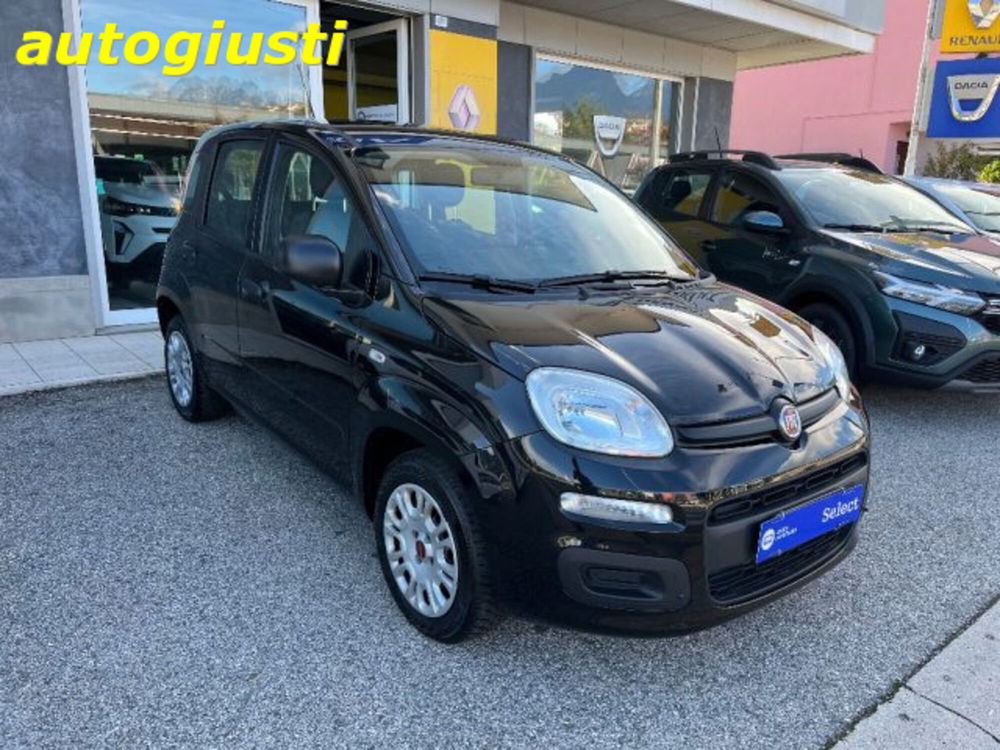 Fiat Panda usata a Belluno (2)