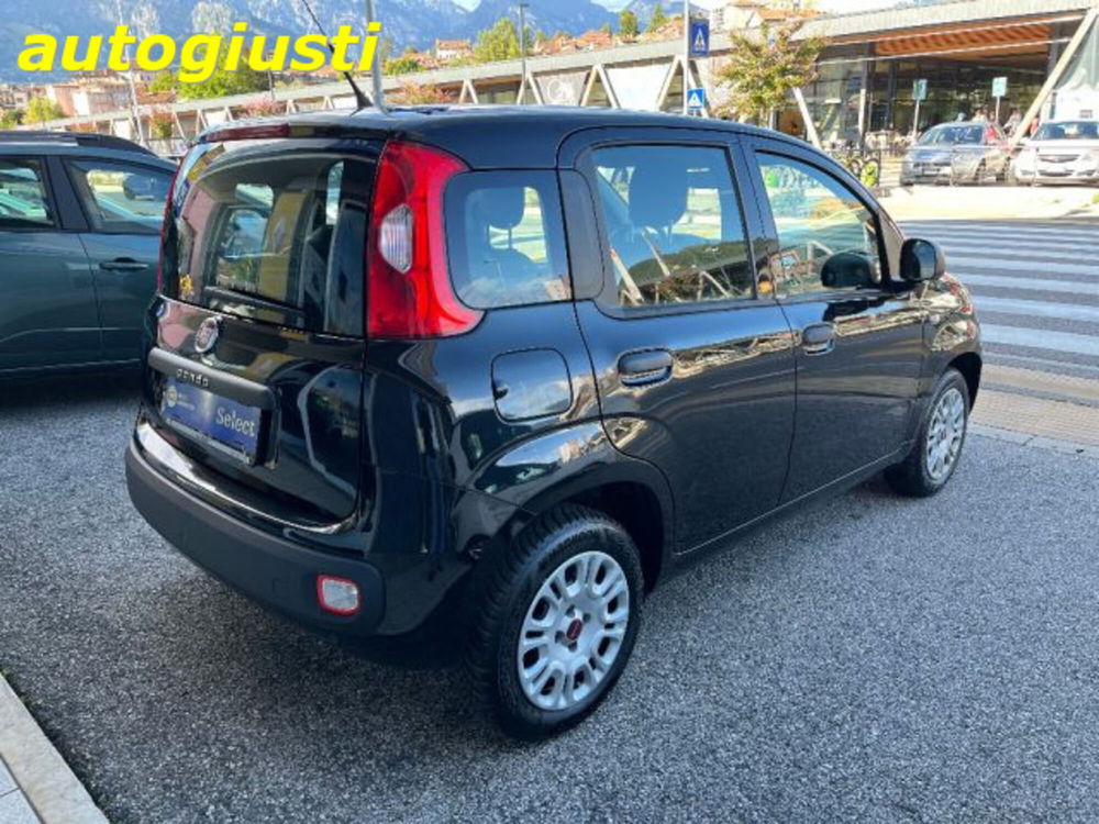 Fiat Panda usata a Belluno (3)