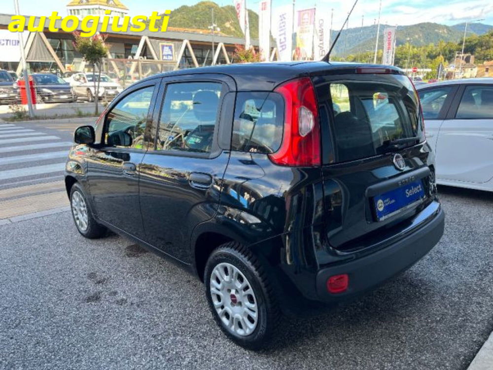 Fiat Panda usata a Belluno (4)