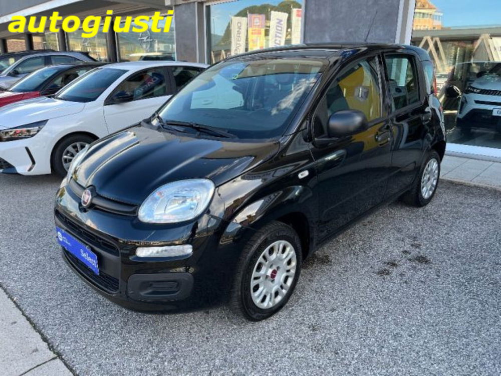 Fiat Panda usata a Belluno (5)