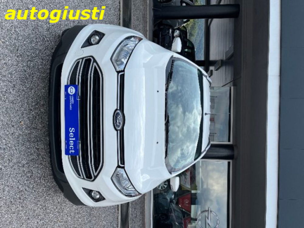 Ford EcoSport usata a Belluno (6)