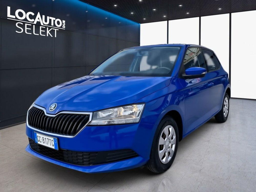 Skoda Fabia usata a Torino