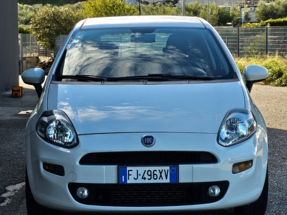 Fiat Punto usata a Foggia (7)