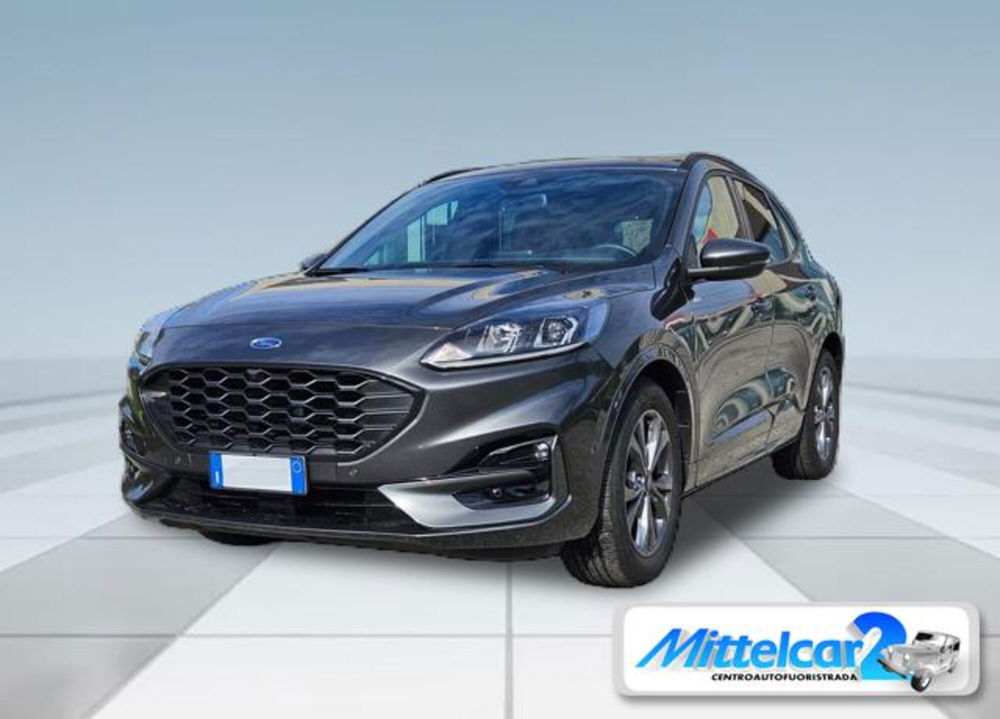 Ford Kuga usata a Udine (2)