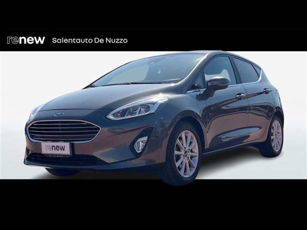 Ford Fiesta usata a Lecce