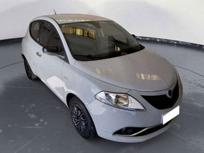 Lancia Ypsilon 1.2 69 CV 5 porte GPL Ecochic Gold  del 2019 usata a Empoli