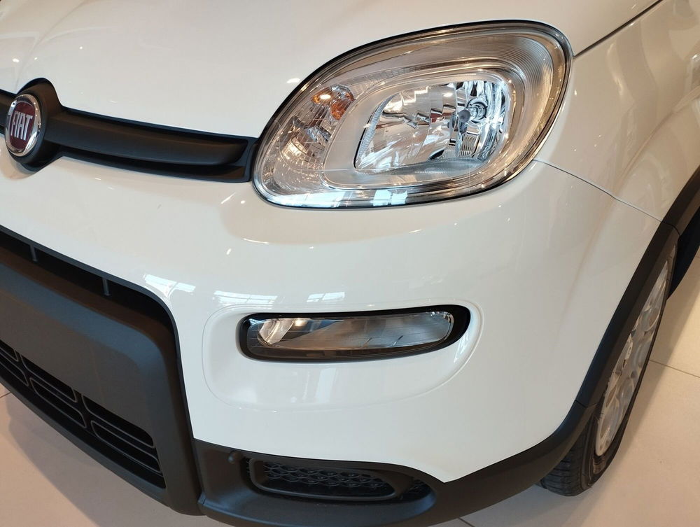 Fiat Panda Cross nuova a Frosinone (14)