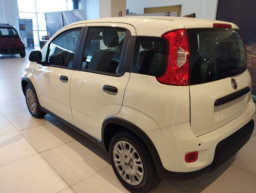 Fiat Panda Cross nuova a Frosinone (3)