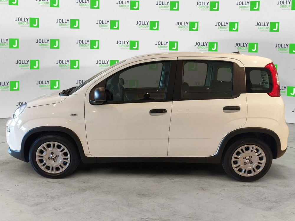 Fiat Panda Cross nuova a Frosinone (5)