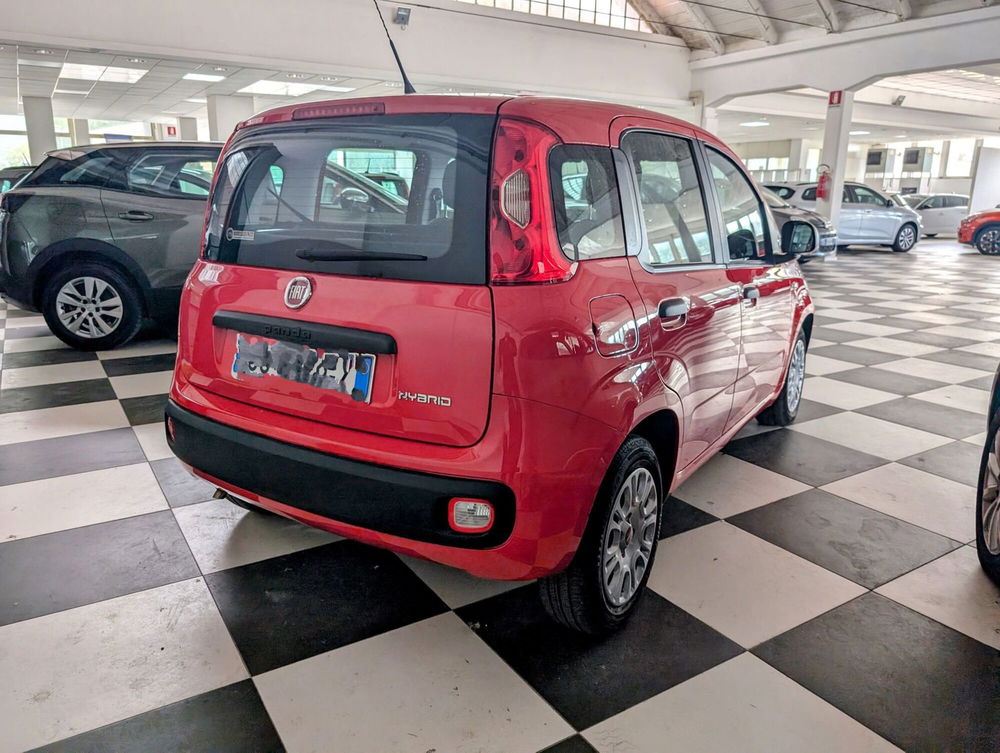 Fiat Panda Cross usata a Arezzo (4)