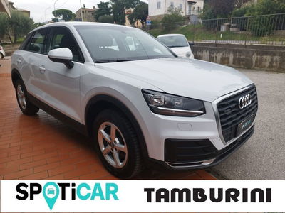 Audi Q2 Q2 35 TDI quattro S tronic Business  del 2019 usata a Cortona