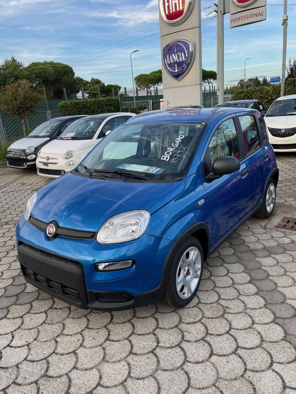 Fiat Panda Cross nuova a Lucca