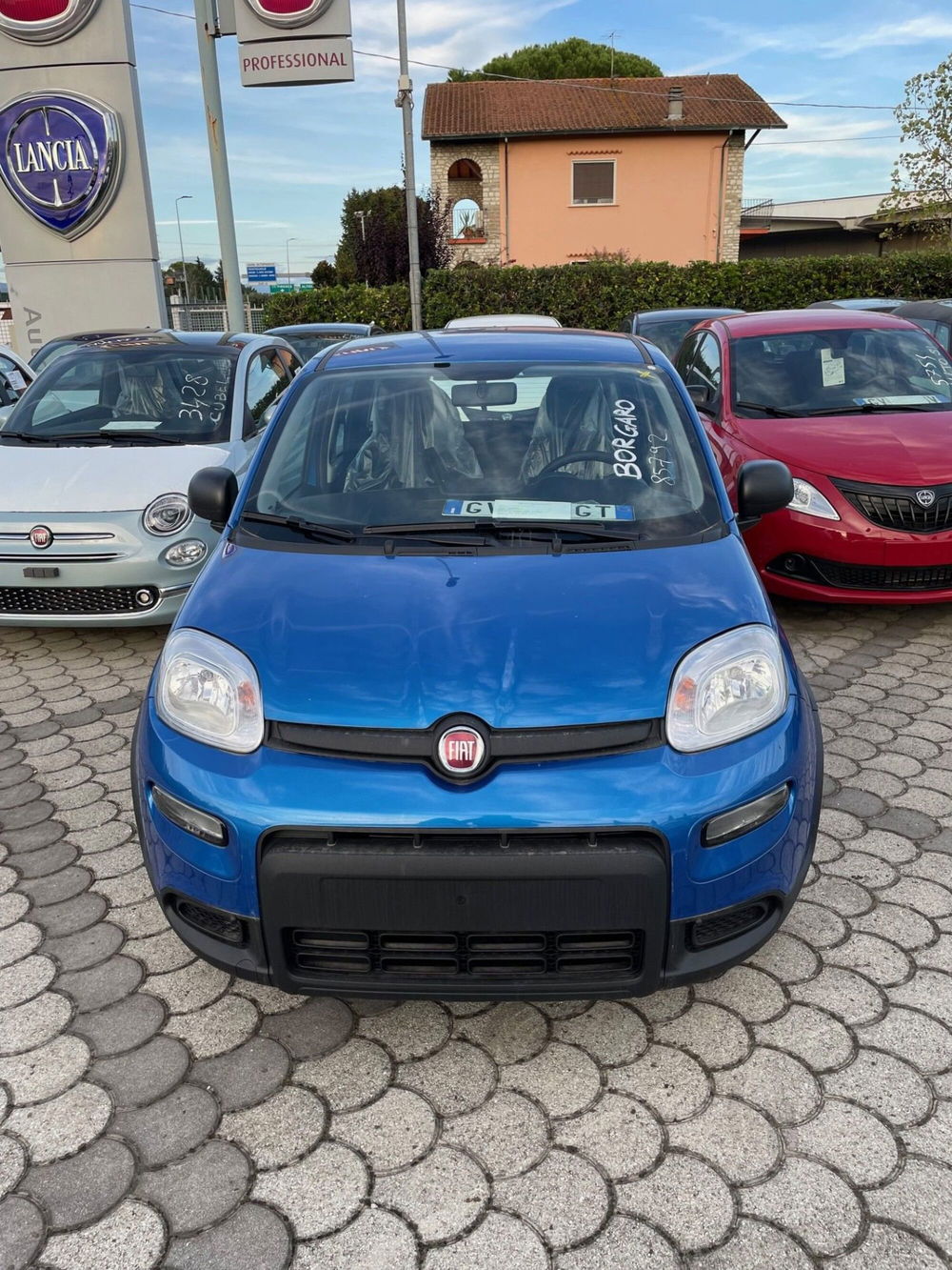 Fiat Panda Cross nuova a Lucca (2)