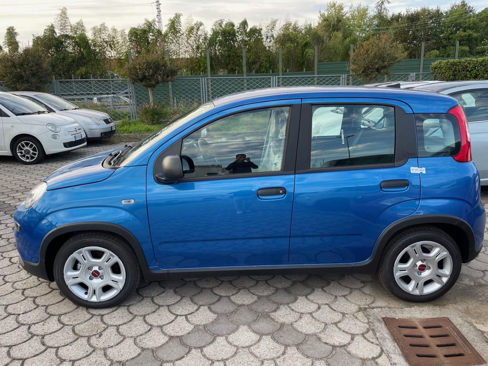 Fiat Panda Cross nuova a Lucca (4)