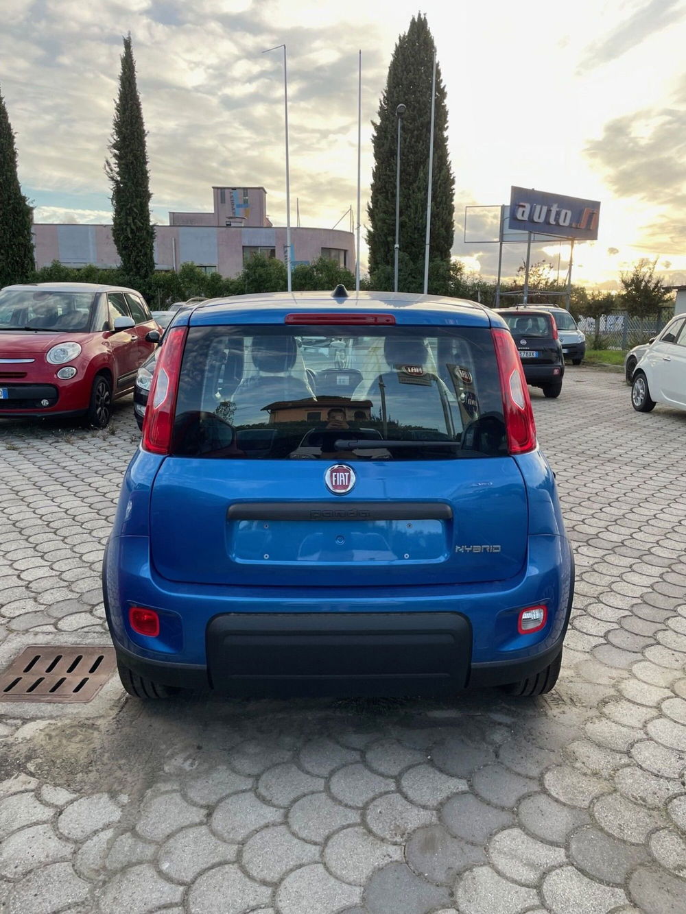 Fiat Panda Cross nuova a Lucca (5)