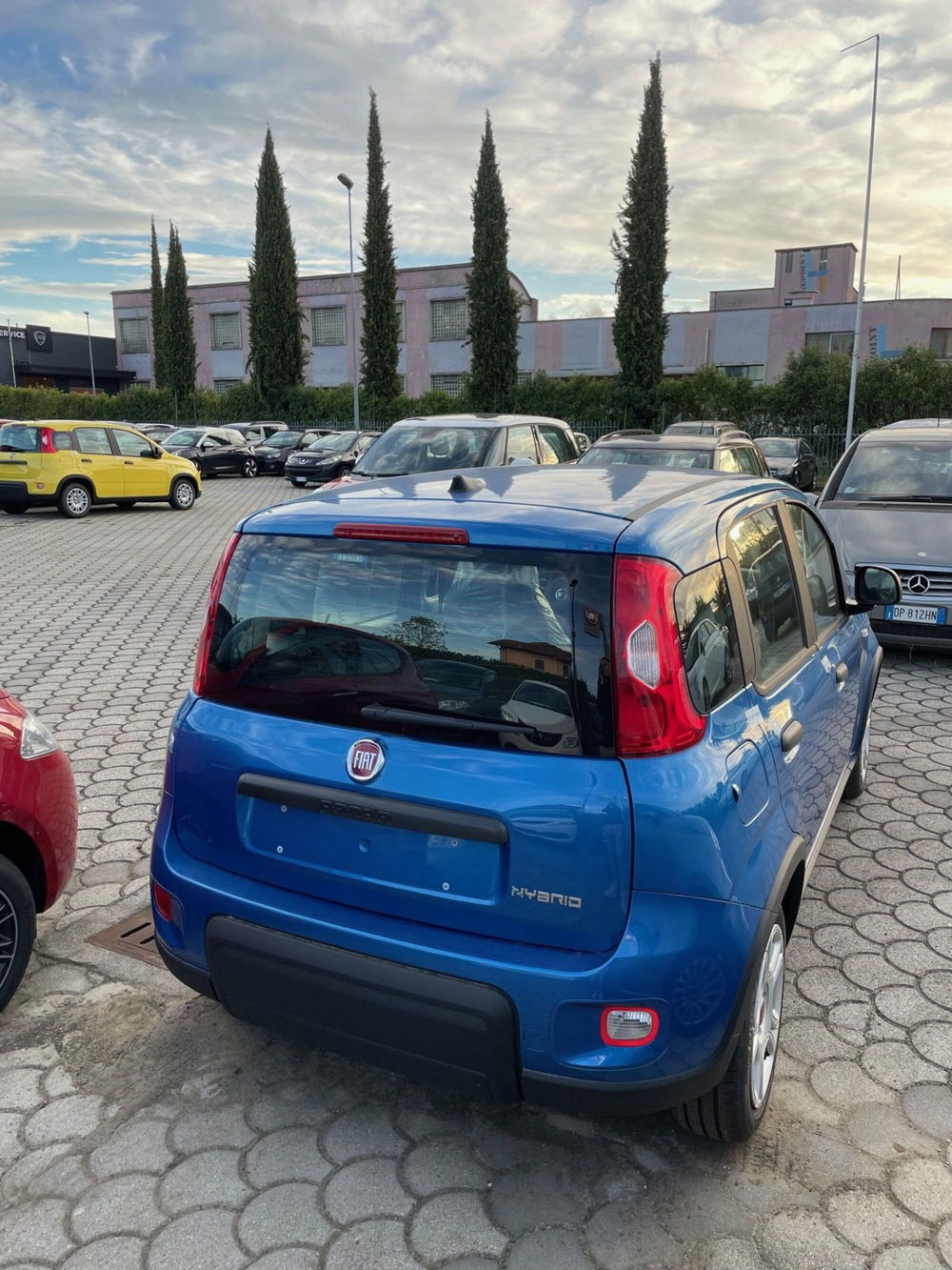 Fiat Panda Cross nuova a Lucca (6)