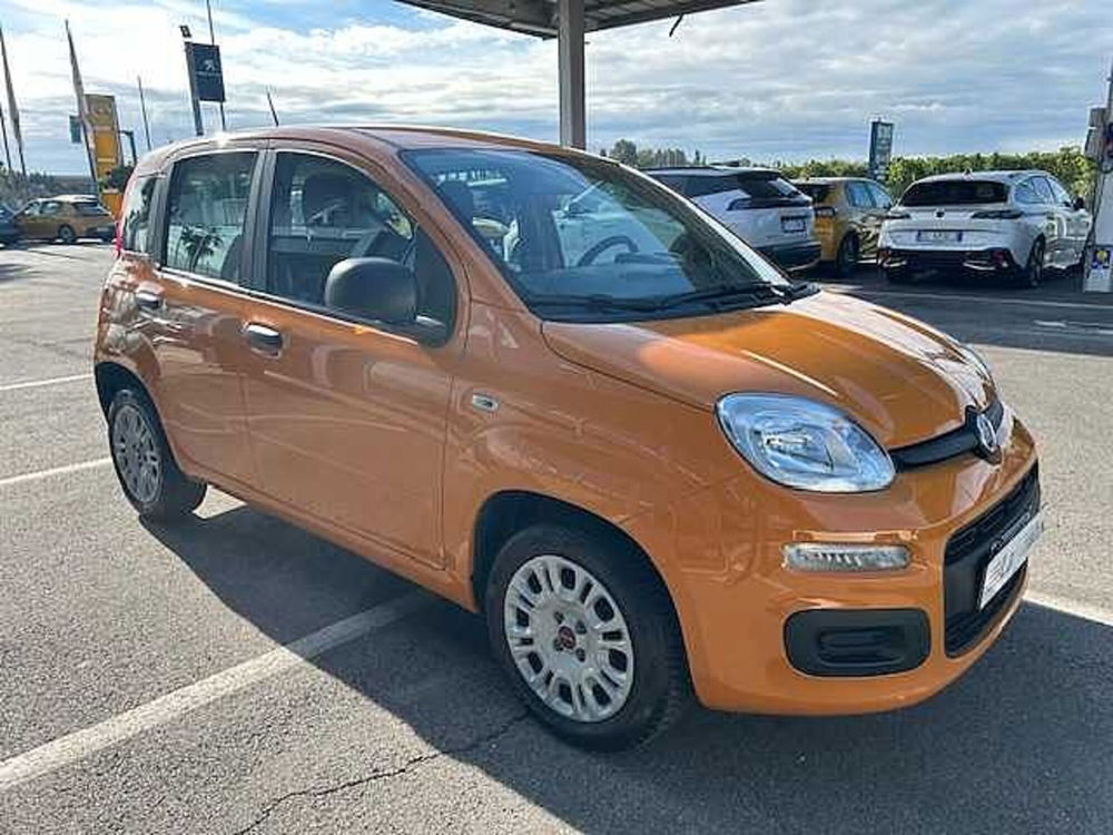 Fiat Panda usata a Ravenna (3)