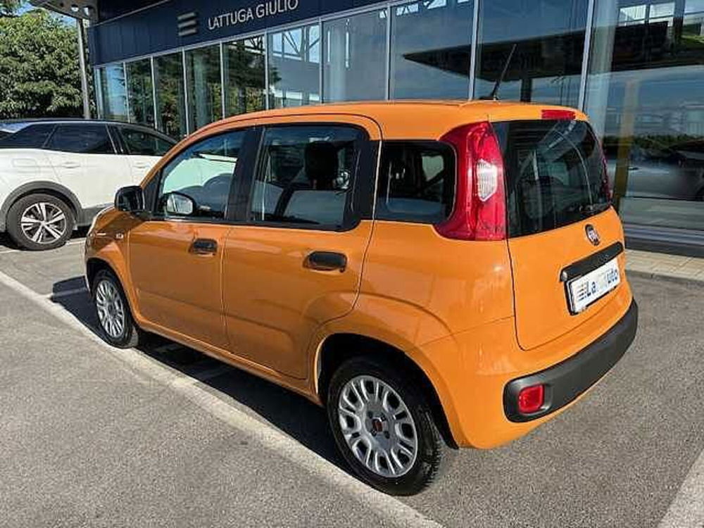 Fiat Panda usata a Ravenna (8)